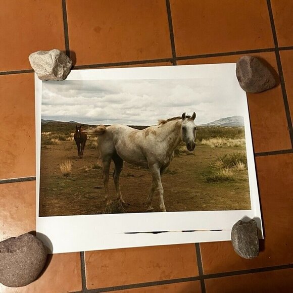 Janine Gordon Photograph 20x24" C-print Edition 2 Horses Marfa Texas Signed - Picture 4 of 6